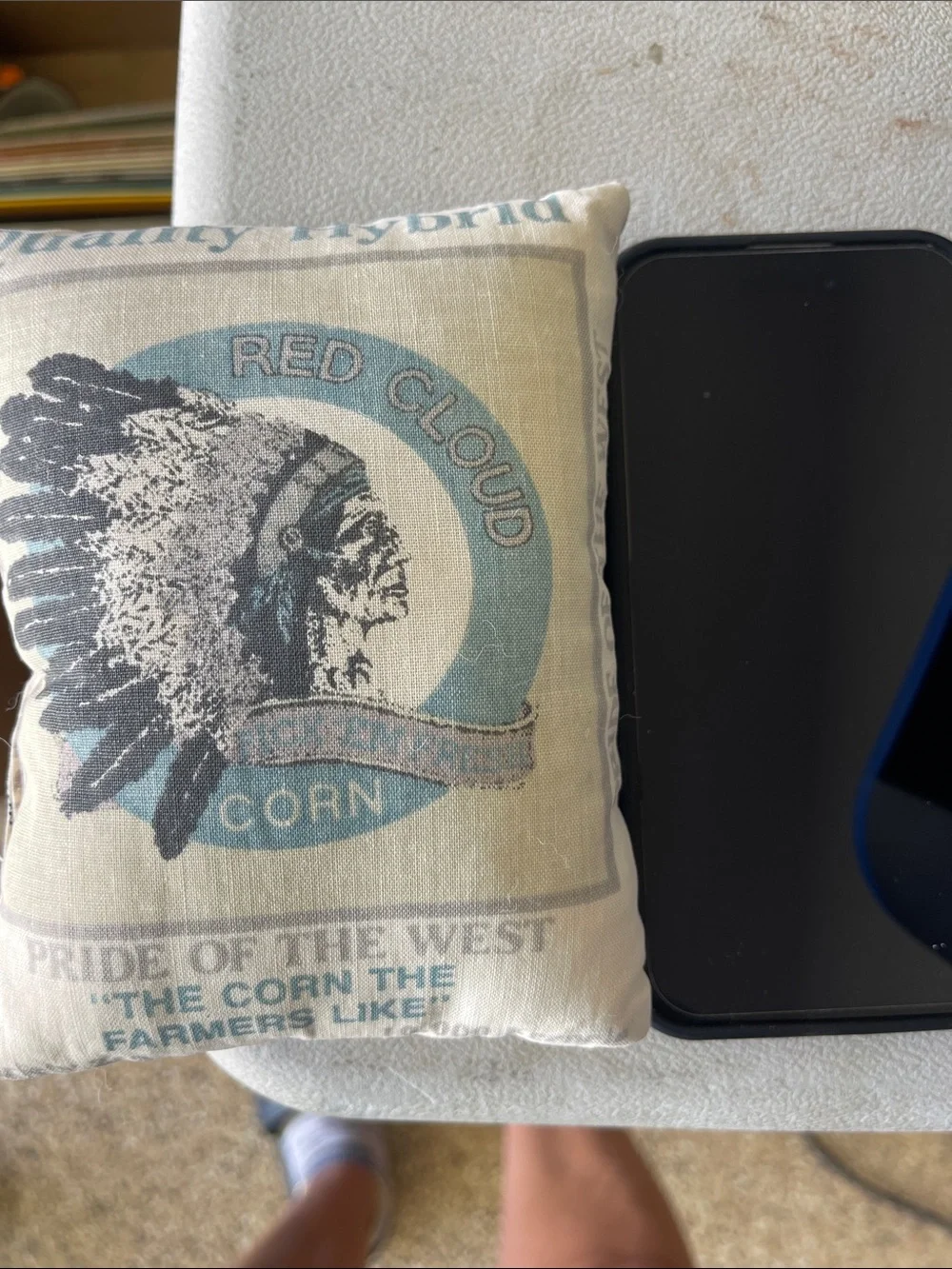 Red Cloud Printed Accent Pillow - Vintage Style Blue & Cream